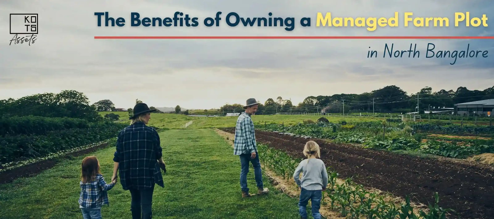 The Benefits of Owning a Managed Farm Plot in North Bangalore